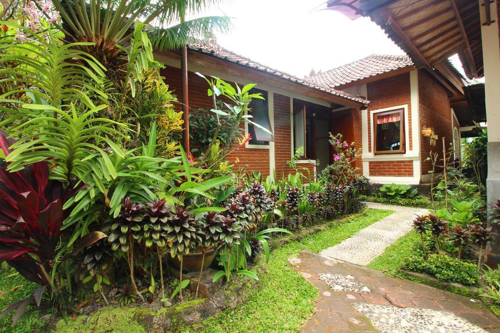 Made Homestay Munduk Luaran gambar