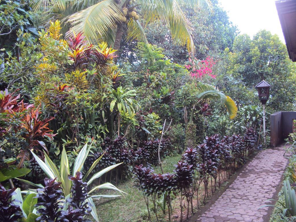 Made Homestay Munduk Luaran gambar