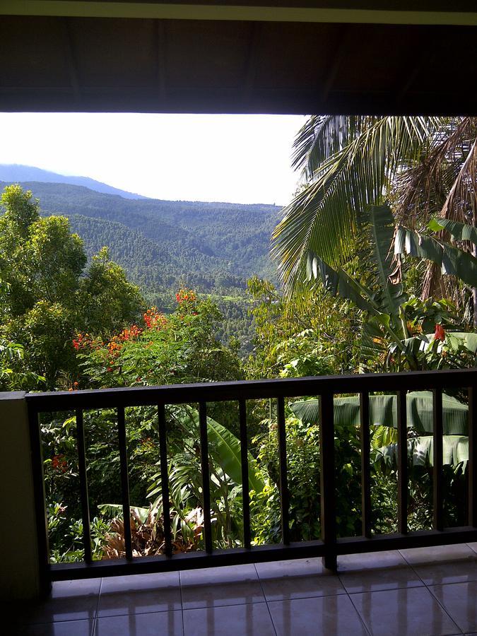 Made Homestay Munduk Luaran gambar